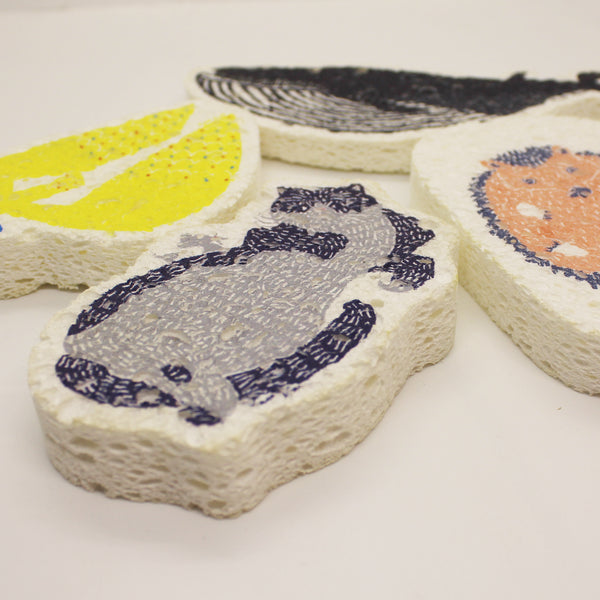 Pop-up Sponge Hedgehog