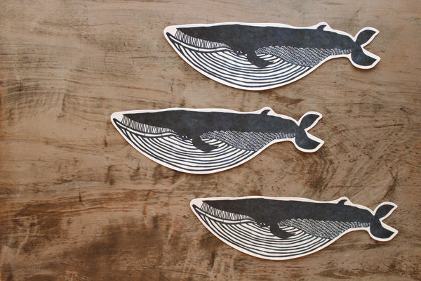 Fin whale