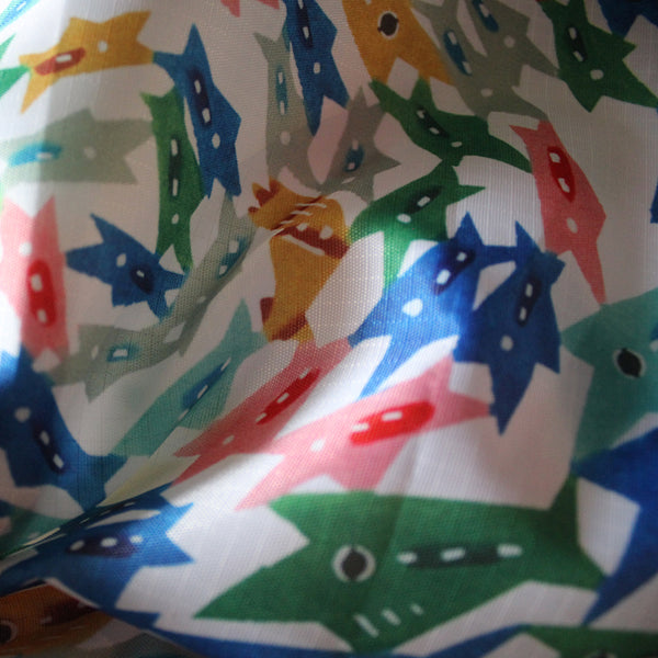 Sakosh: School of fish