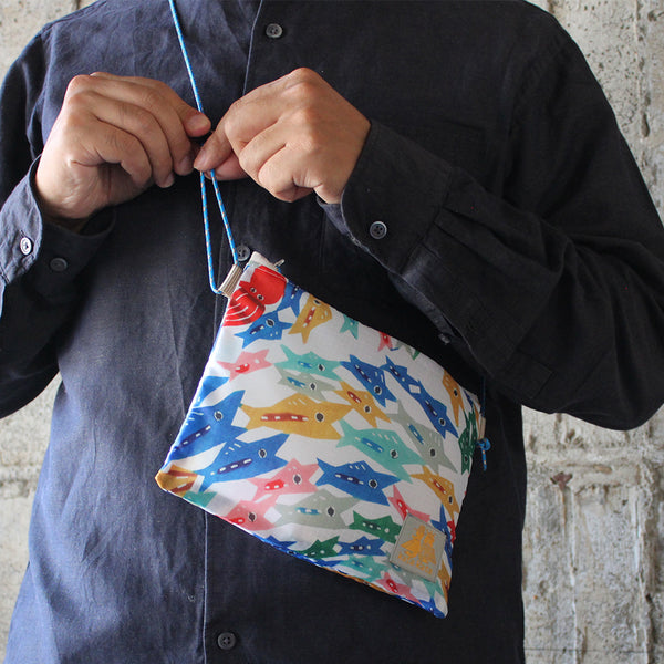 Sakosh: School of fish
