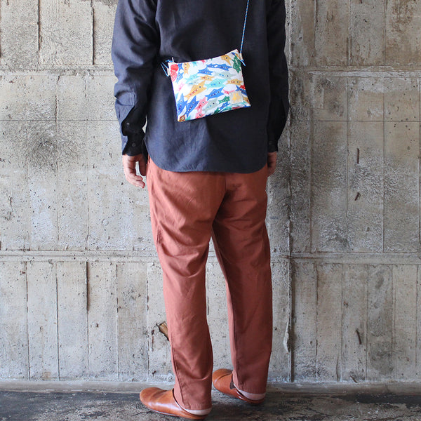 Sakosh: School of fish