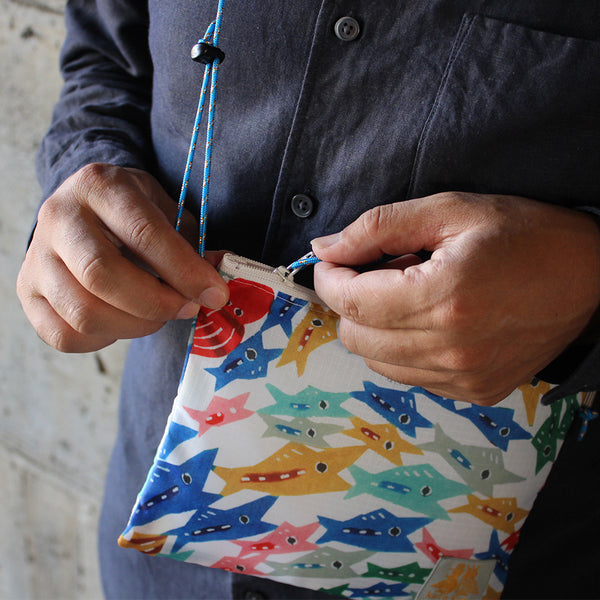 Sakosh: School of fish